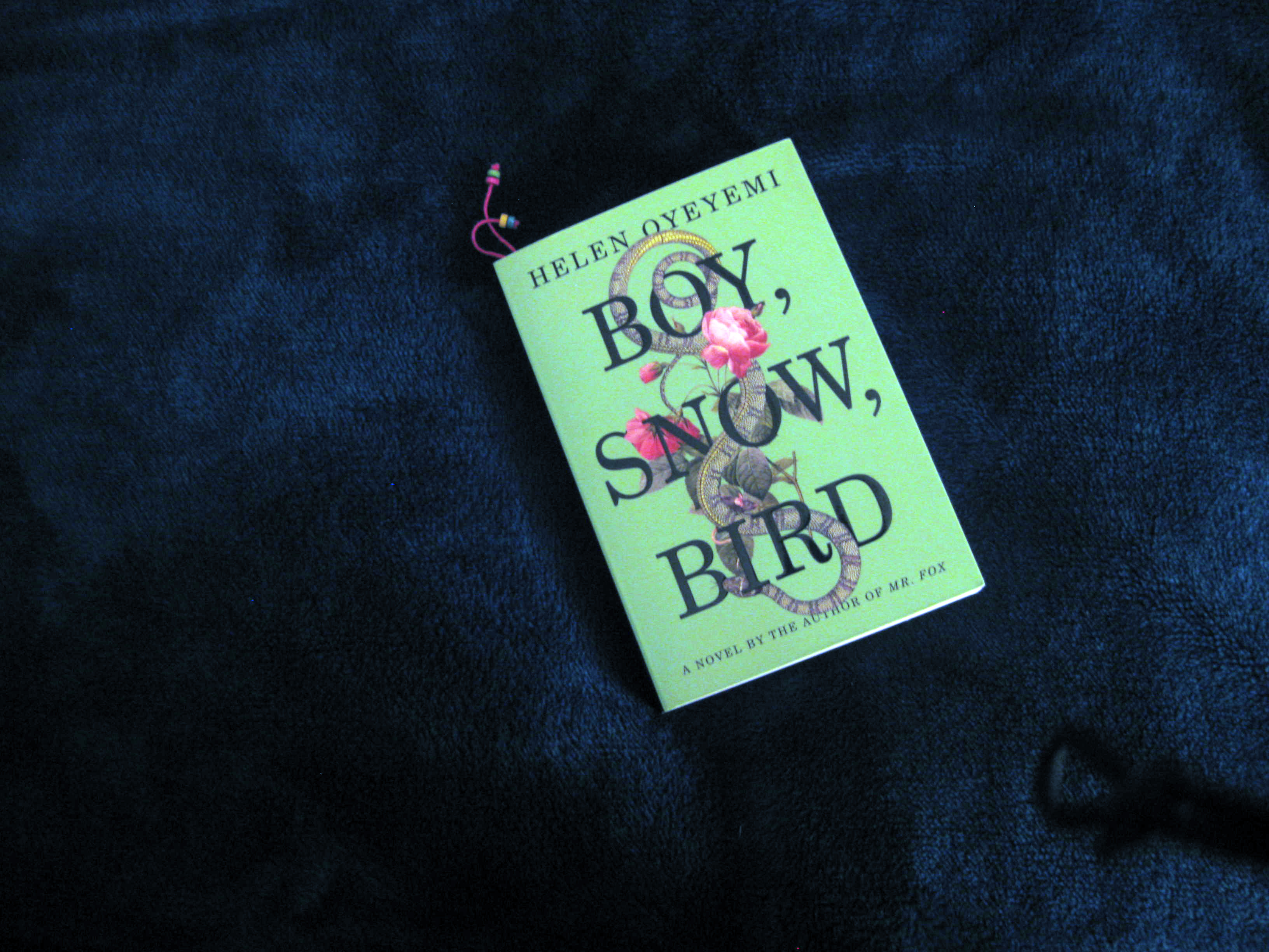 Boy, Snow, Bird by Helen Oyeyemi
