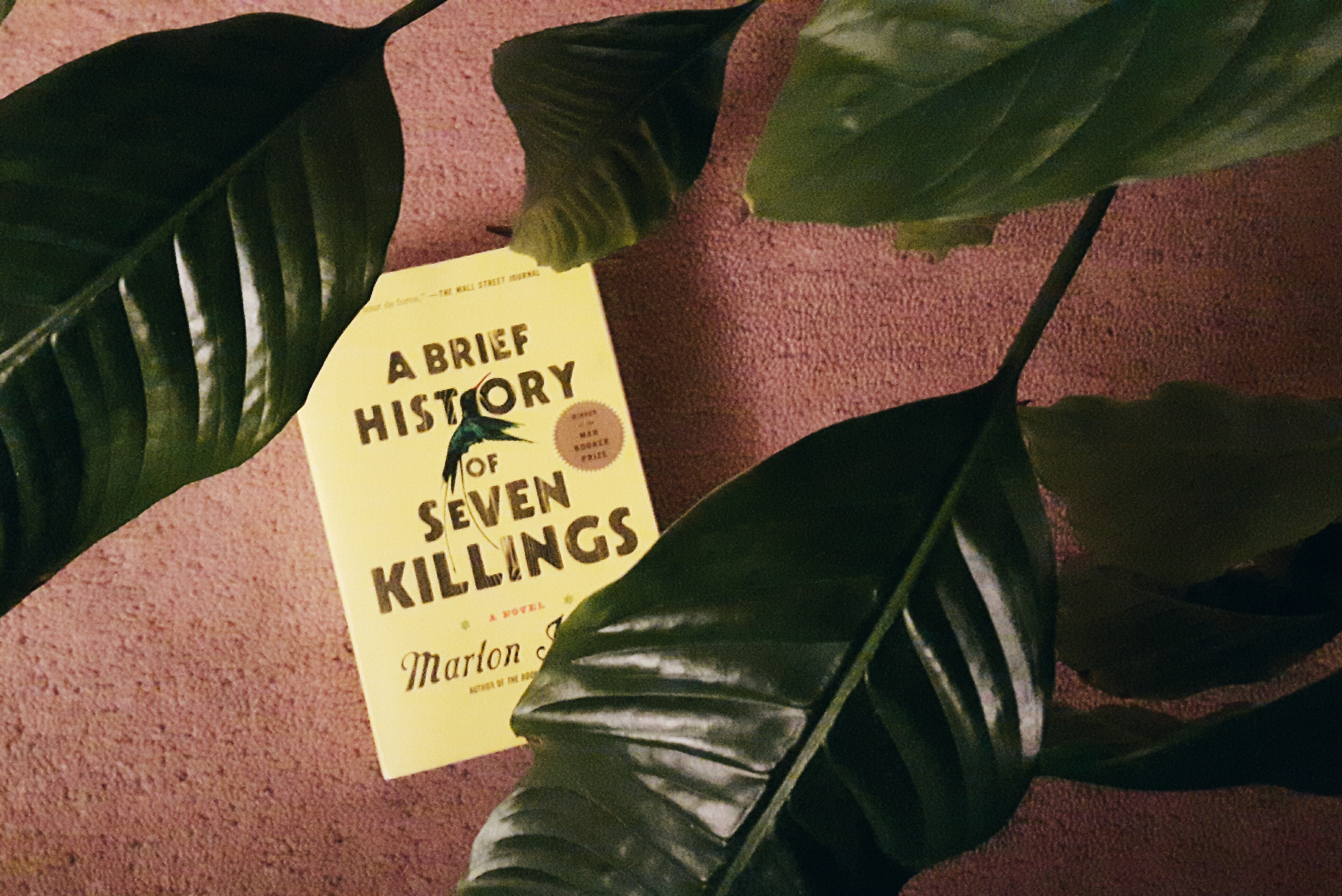A Brief History of Seven Killings by James Marlon
